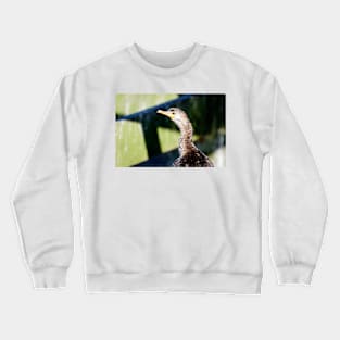 Juvenile Cormorant Profile Crewneck Sweatshirt